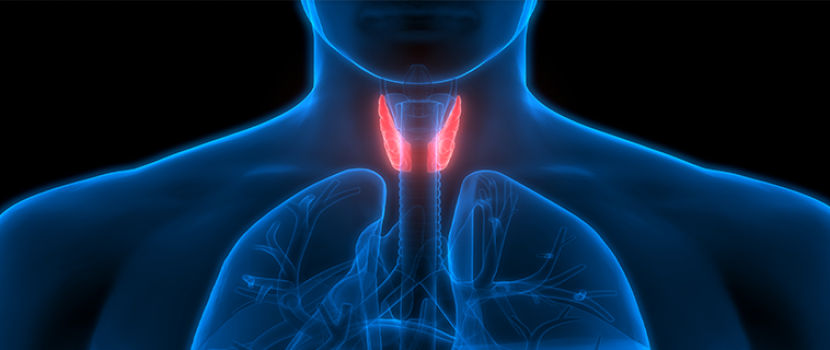 a fogászati​​ problémák súlycsökkenést okoznak endometriózis és a fogyásért küzd