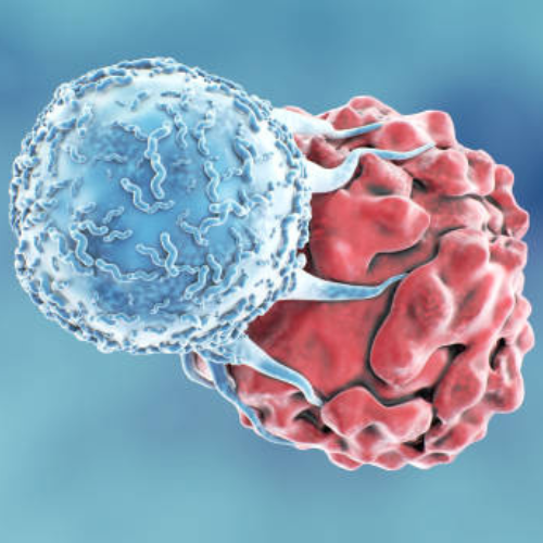 Veleszuletett immunhiany - Immun Kozpont