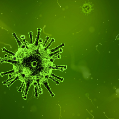 Magas anti-streptolizin