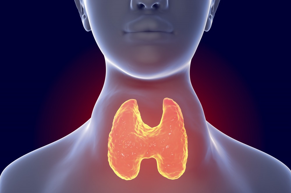 pajzsmirigy cukorbetegség új készítmények a 2. típusú diabetes mellitus